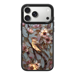 Gilded Aviary iPhone Case