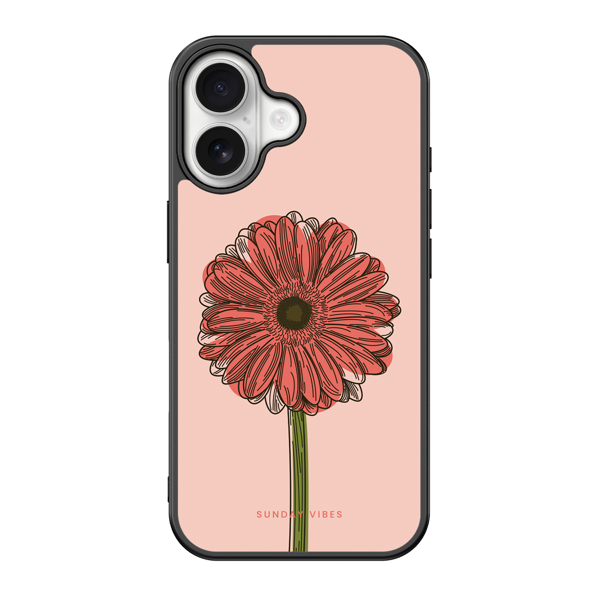 Blushing Gerbera iPhone Case