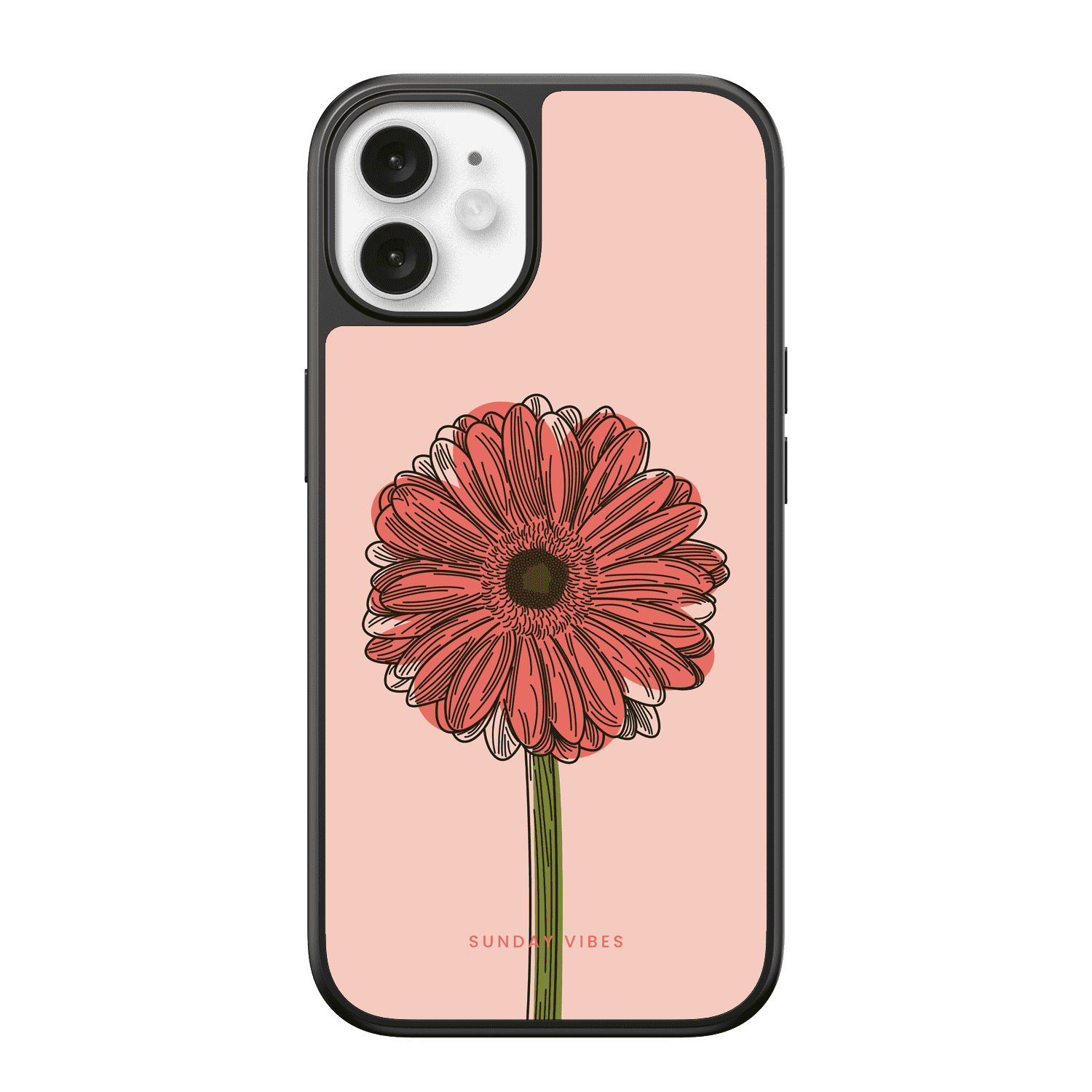 Blushing Gerbera iPhone Case