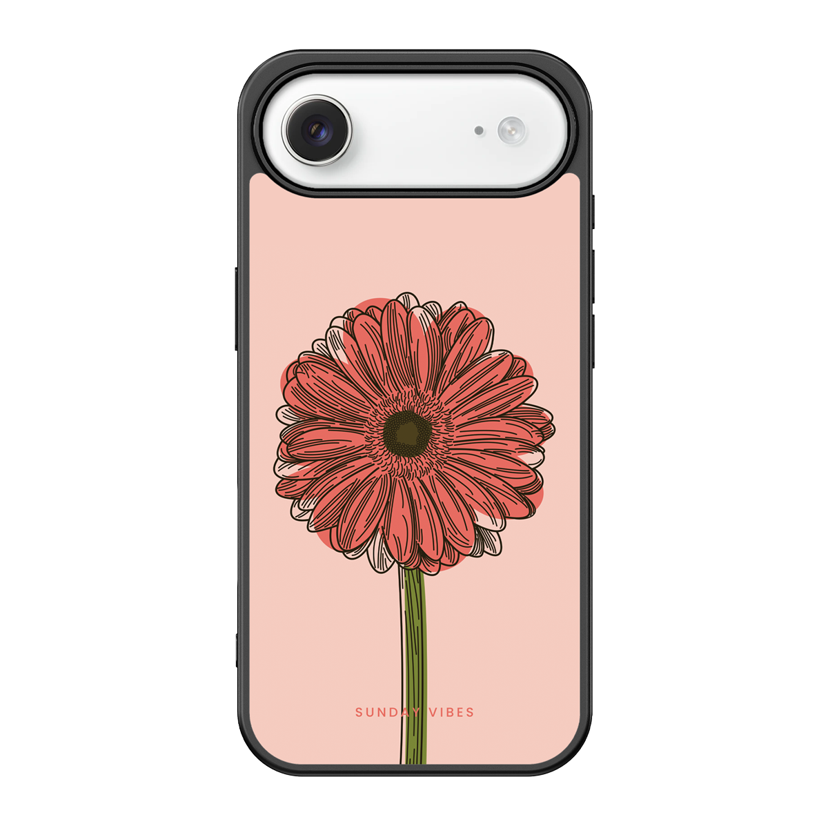 Blushing Gerbera iPhone Case