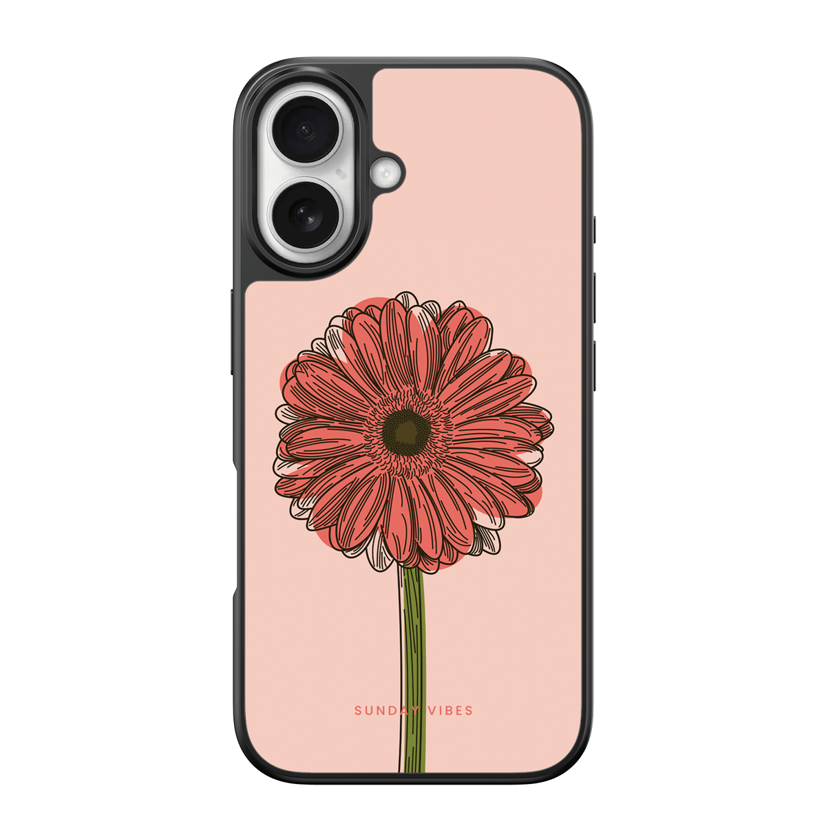 Blushing Gerbera iPhone Case