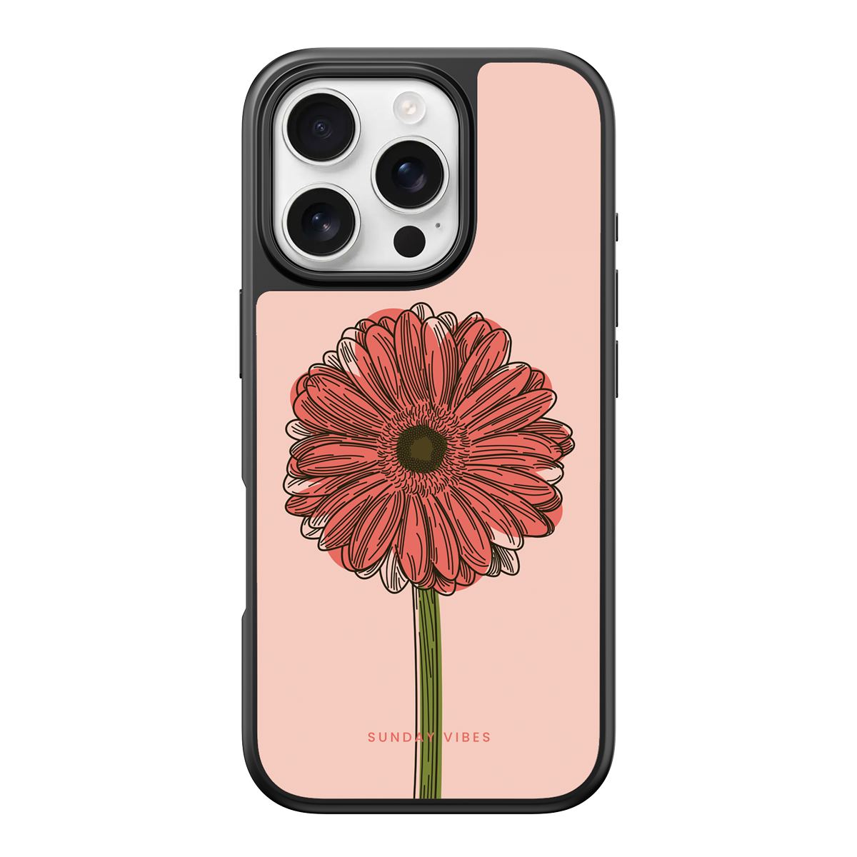 Blushing Gerbera iPhone Case