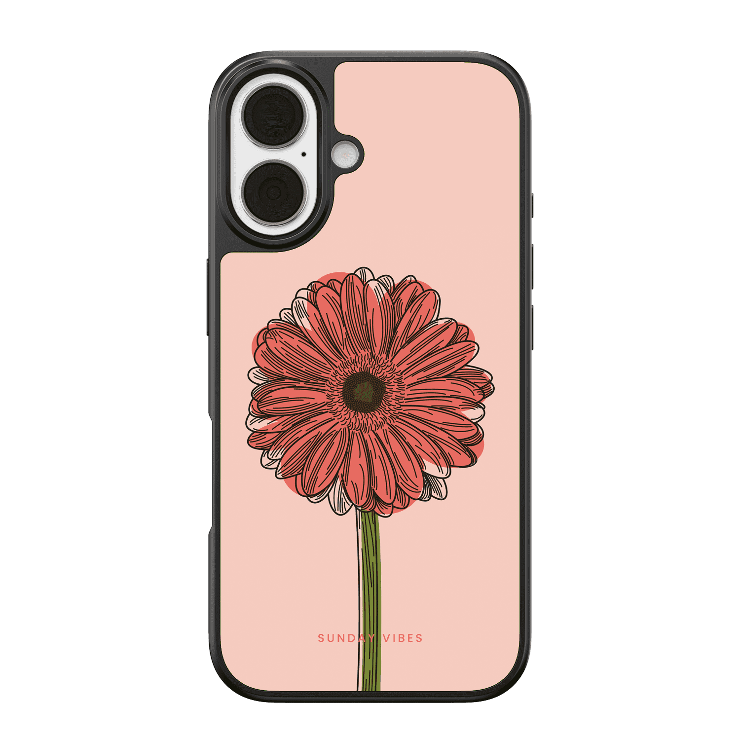 Blushing Gerbera iPhone Case
