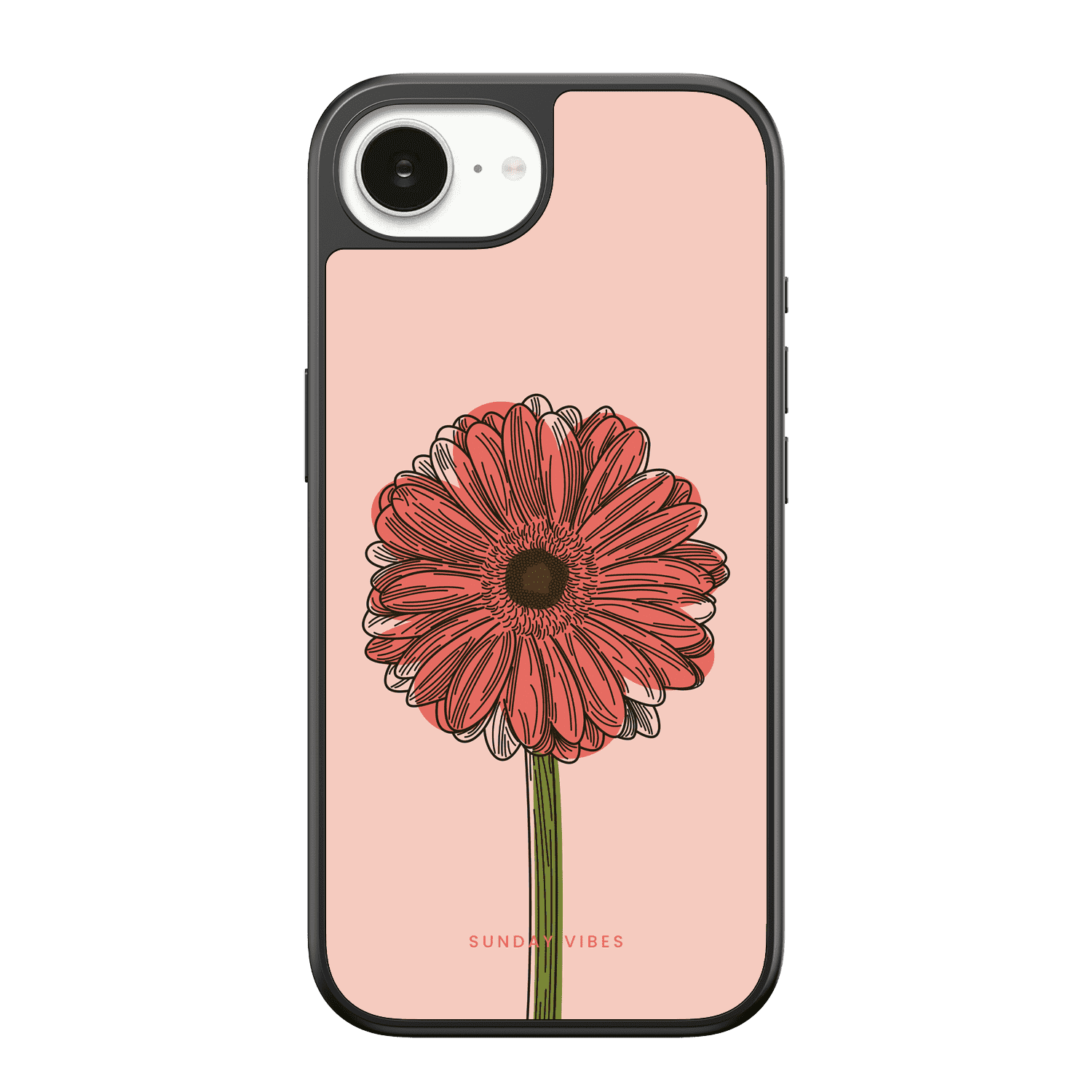 Blushing Gerbera iPhone Case