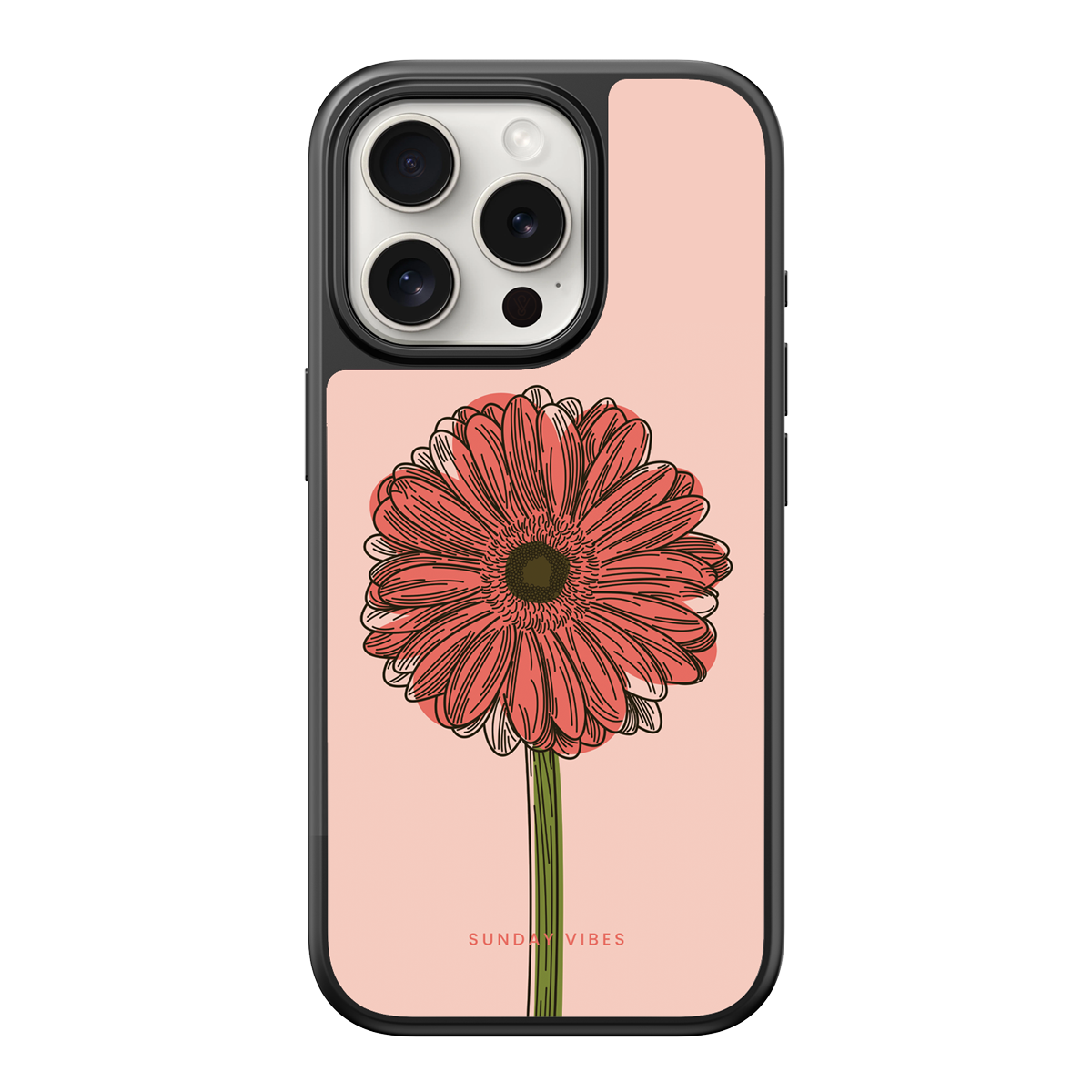Blushing Gerbera iPhone Case