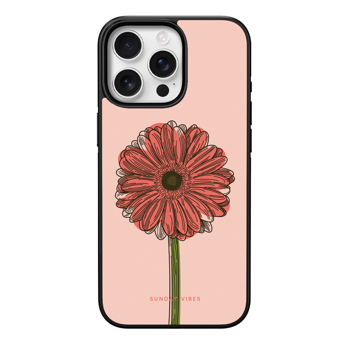 Blushing Gerbera iPhone Case