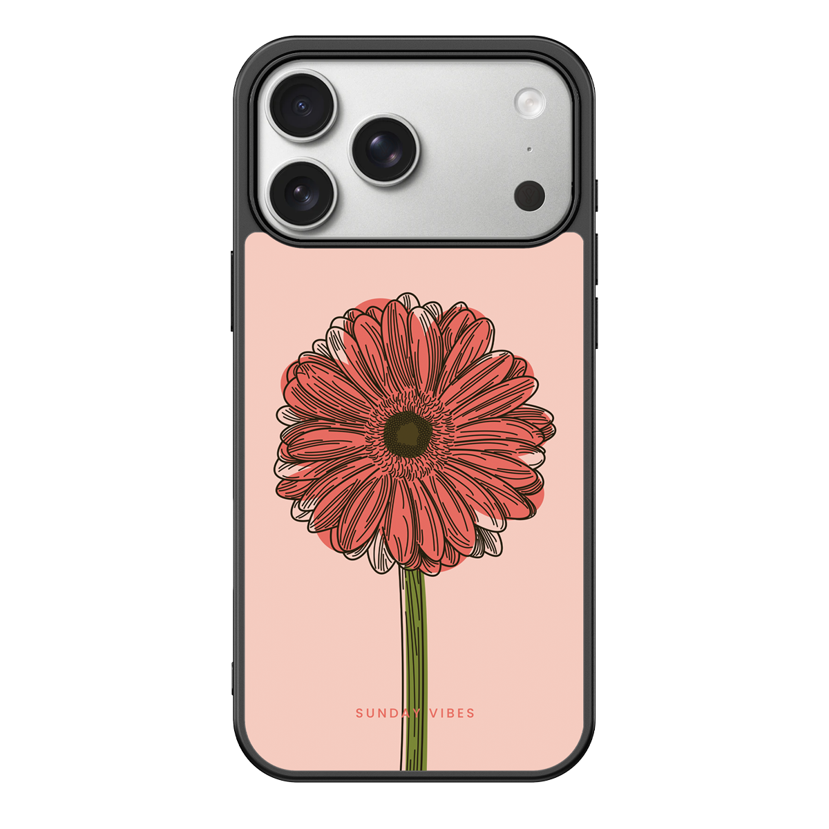 Blushing Gerbera iPhone Case