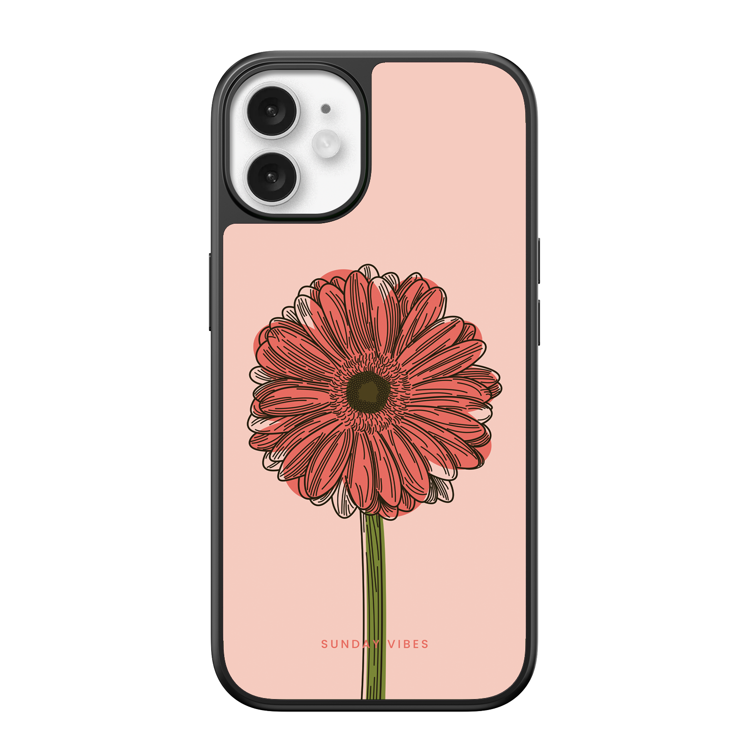 Blushing Gerbera iPhone Case