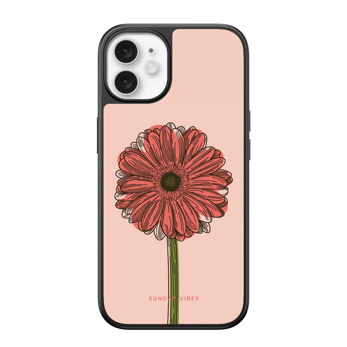 Blushing Gerbera iPhone Case