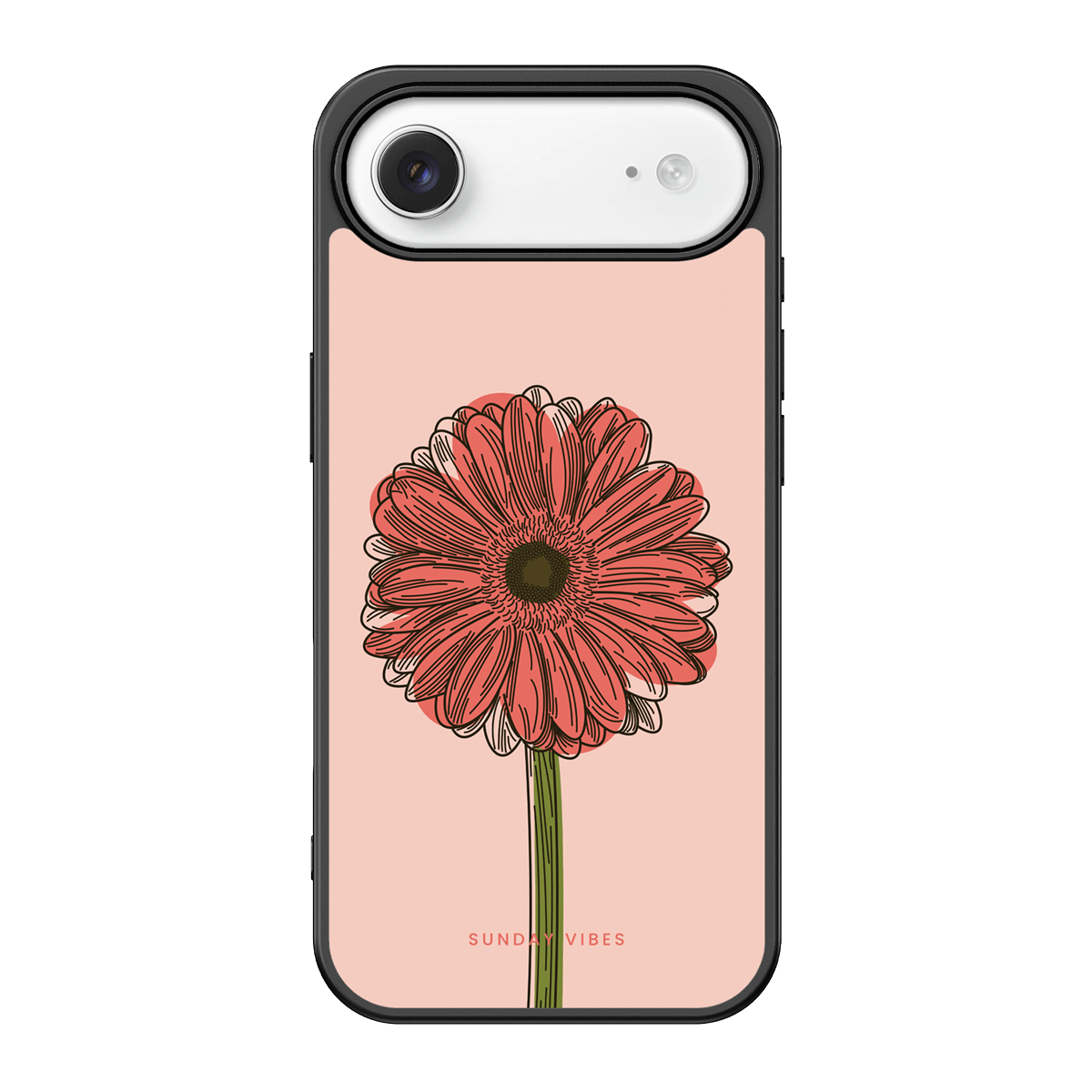 Blushing Gerbera iPhone Case