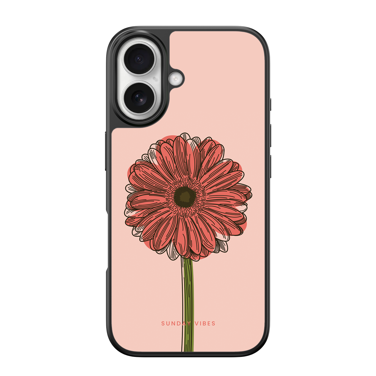 Blushing Gerbera iPhone Case