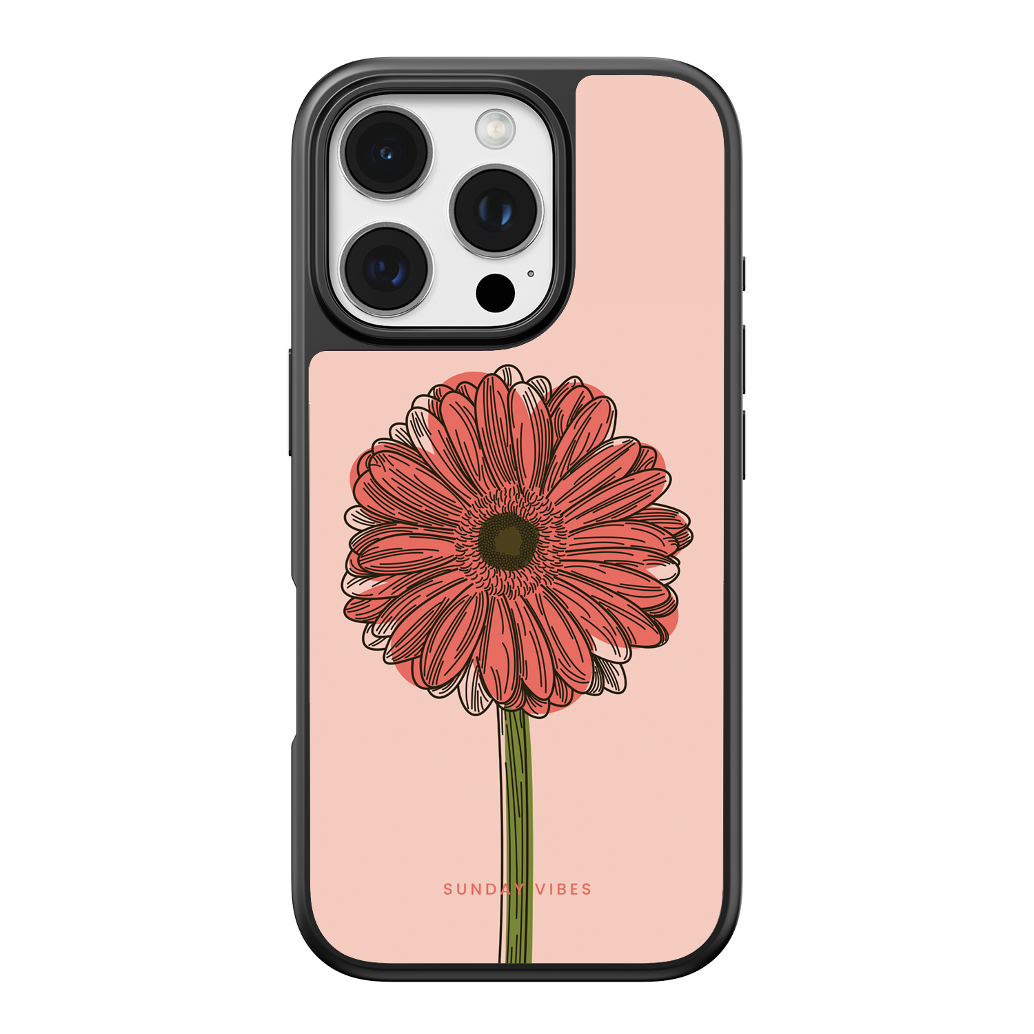 Blushing Gerbera iPhone Case