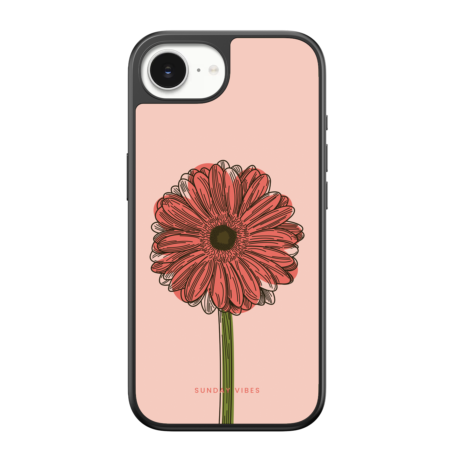 Blushing Gerbera iPhone Case
