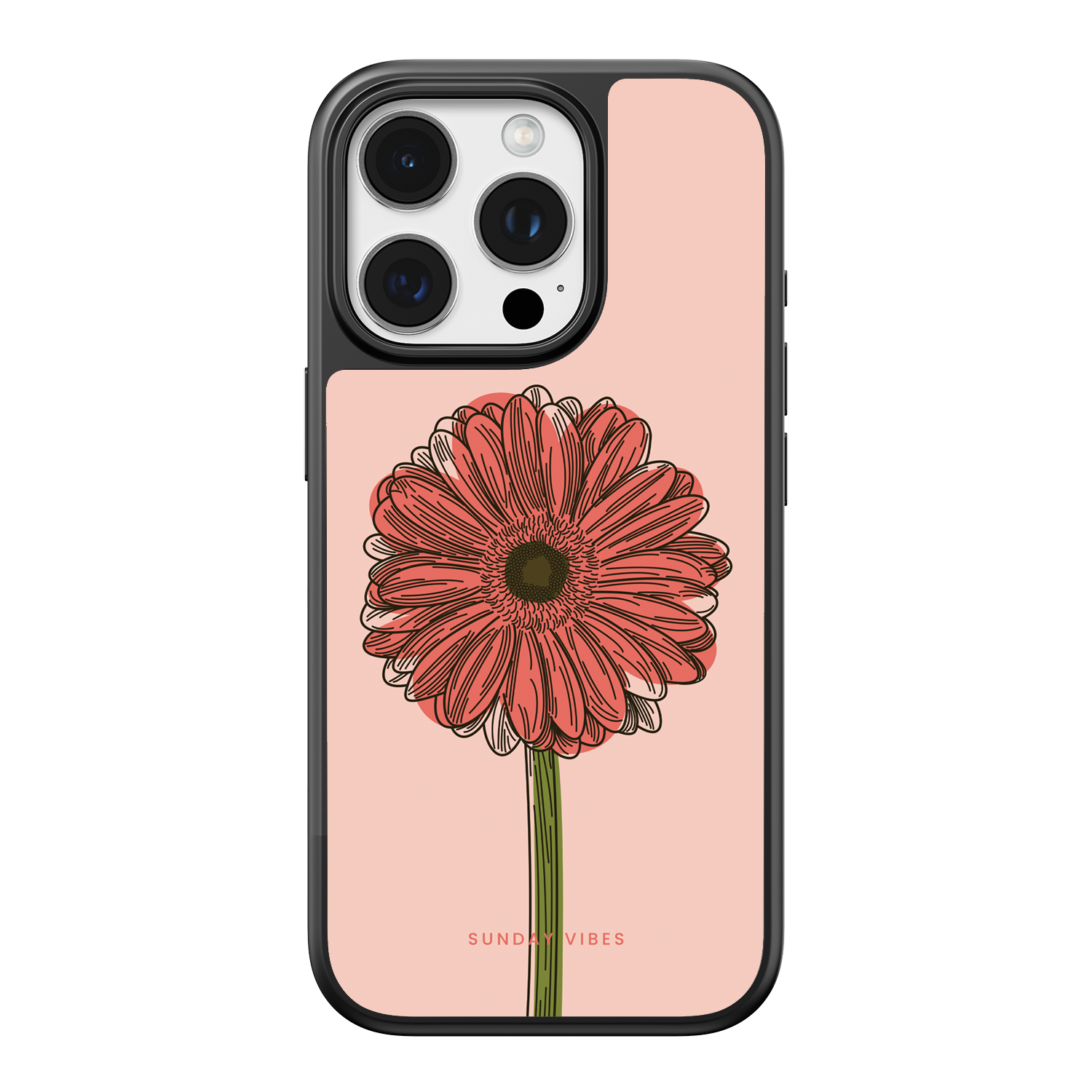 Blushing Gerbera iPhone Case