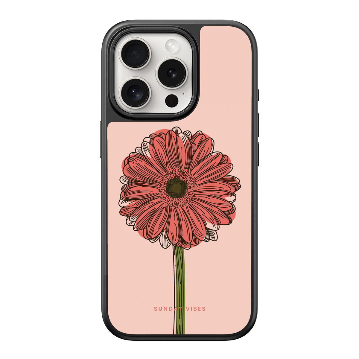 Blushing Gerbera iPhone Case