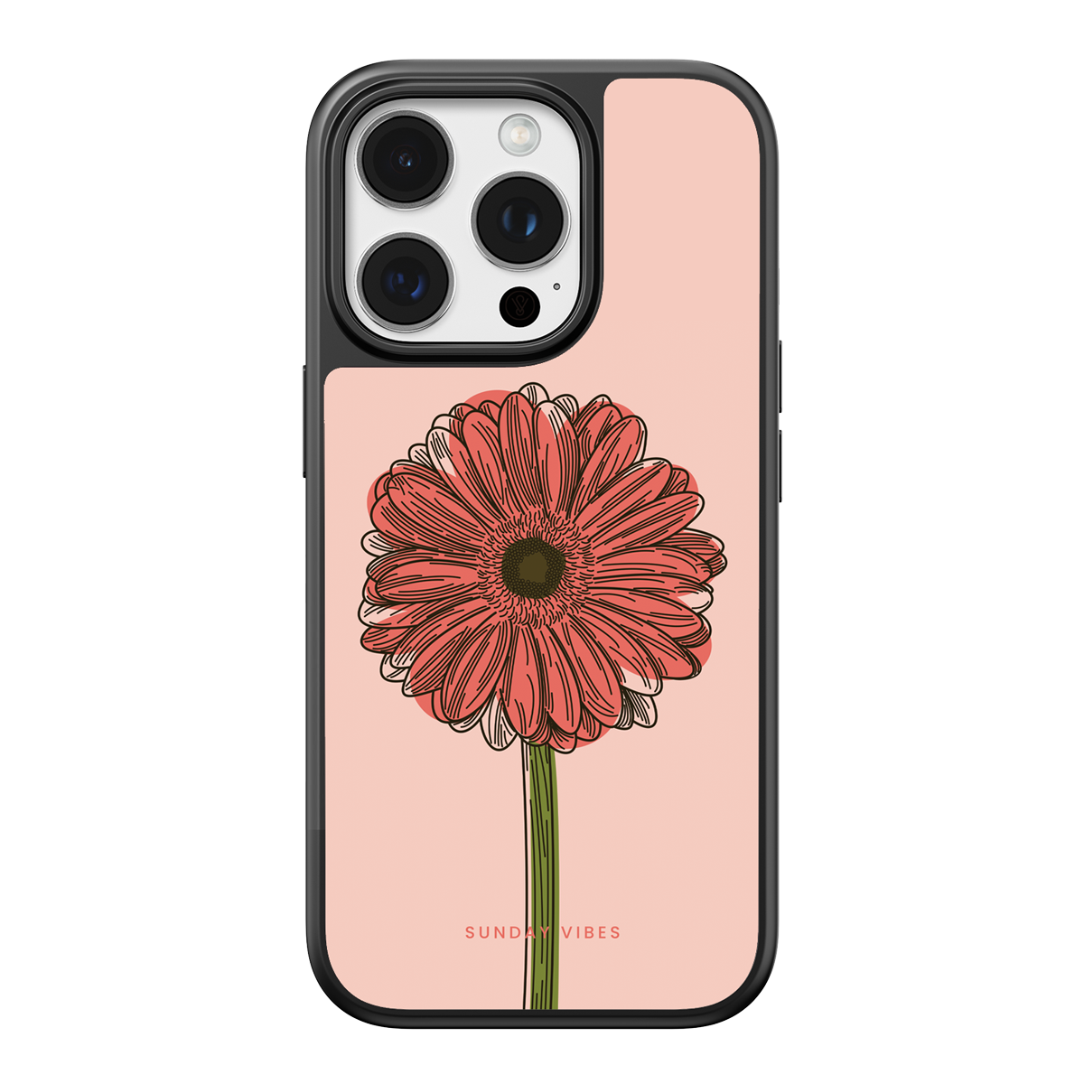 Blushing Gerbera iPhone Case